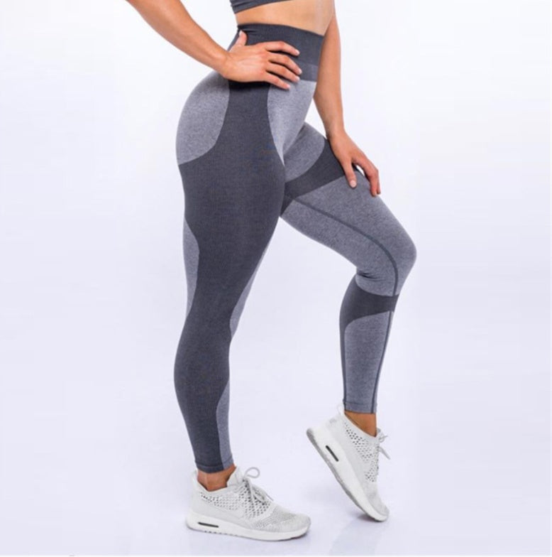 Signature Curve Seamless Legging